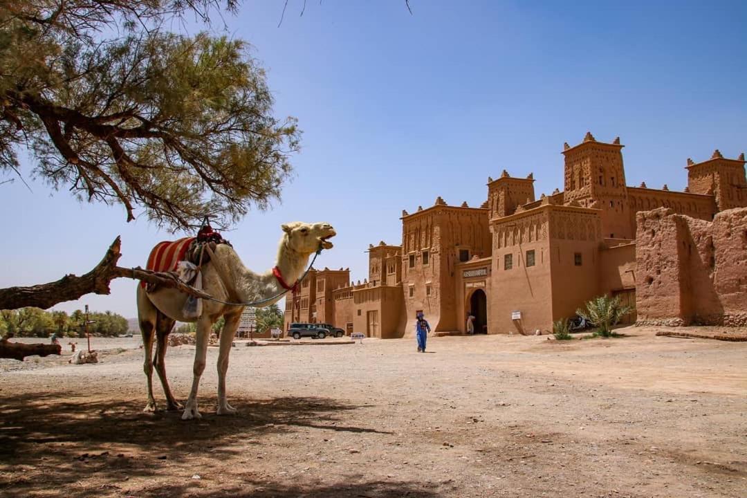 Kasbah Tiriguioute Hotel Skoura Kültér fotó